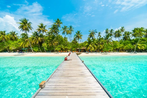 GOA