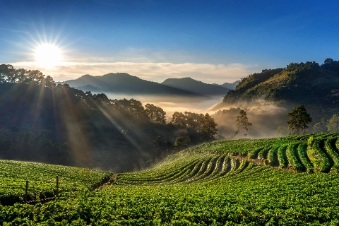 KODAIKANAL