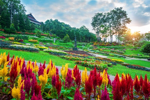 OOTY